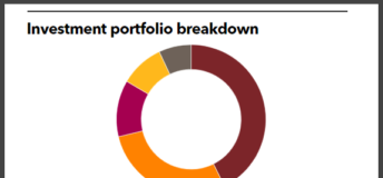 Reno Foundation's investment portfolio breakdown